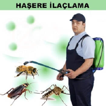 Güroymak Böcek İlaçlama